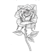 (c) Roses.co.uk