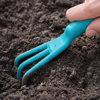 How to plant your rose - Step 1